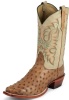 Nocona MD6512 Men's Exotic Western Boot with Cognac Waxy Full Quill Ostrich Foot and a Punchy Square Toe